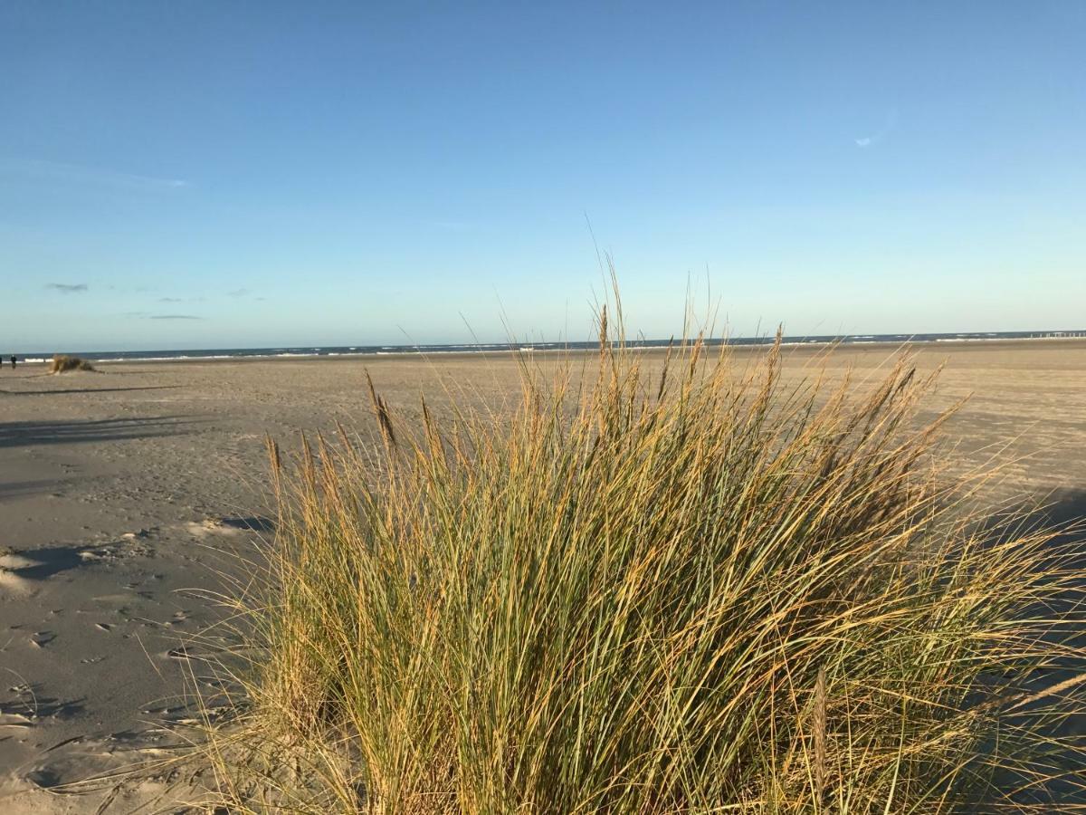 Strandlogement Om De Noord 斯希蒙尼克奥赫 外观 照片